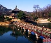 Khám Phá Văn Hóa Phương Đông: Thượng Hải - Jeju - Busan - Thượng Hải Trên Du Thuyền 5 Sao 6 Ngày